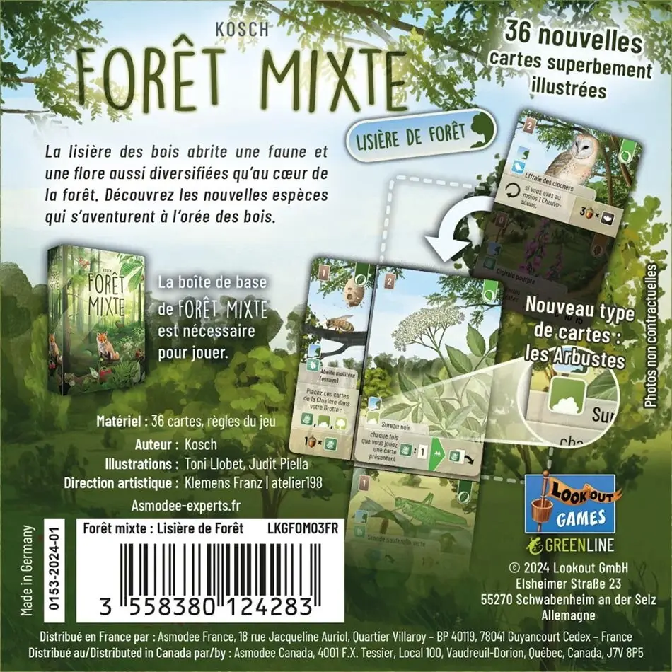 Forêt Mixte - Lisière de Forêt 2 Forêt Mixte - Lisière de Forêt – Image 2